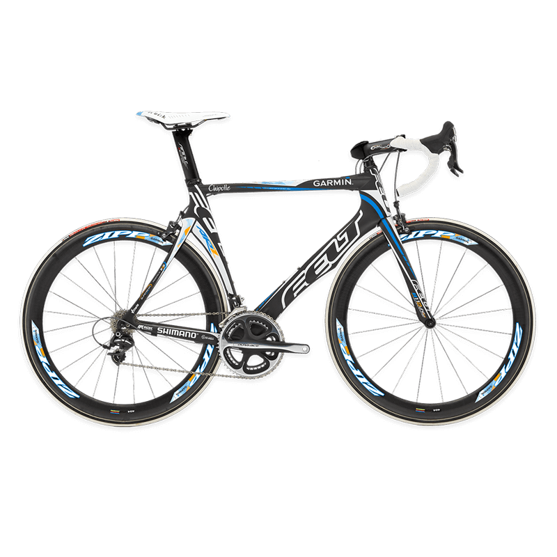 Maximus quam posuere