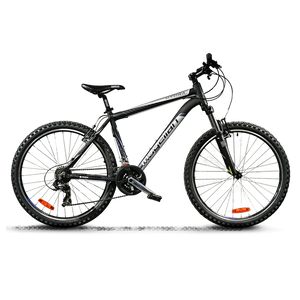 Curabitur cursus dignis