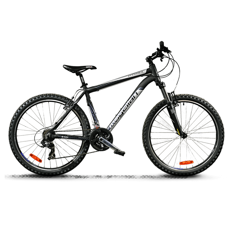 Donec condimentum fer