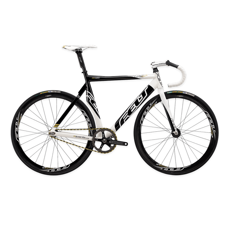 Curabitur cursus dignis