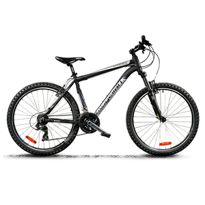 Gravida est quis euismod